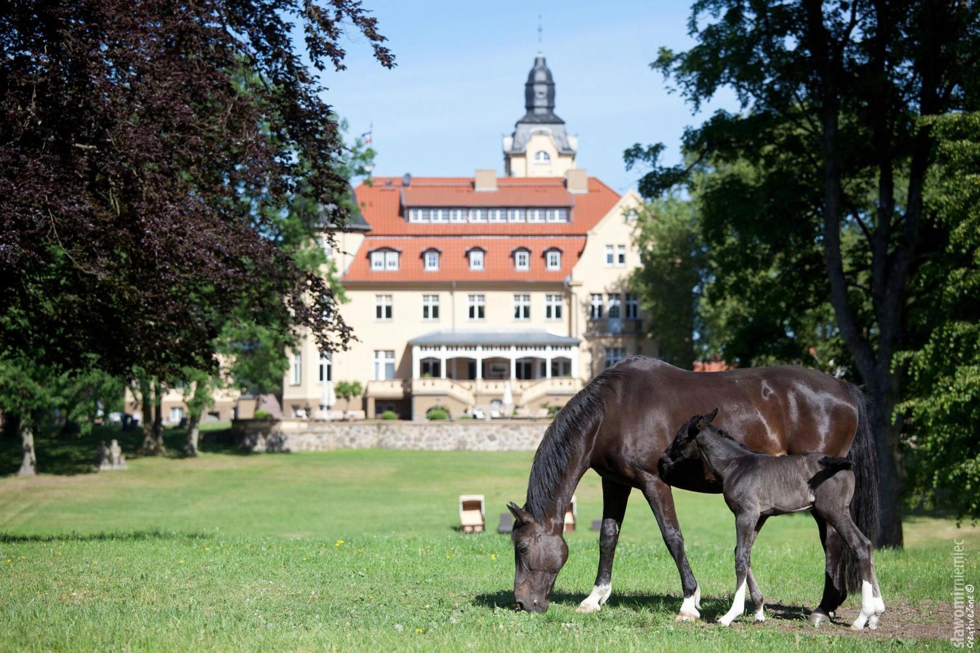 Luxurioeses Ferienhaus Oliver In Wendorf Im Bernstein Resort Luaran gambar